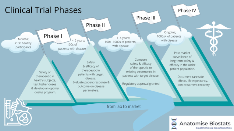 Clinical Trial Phases in Drug Development - Biostatistics ...